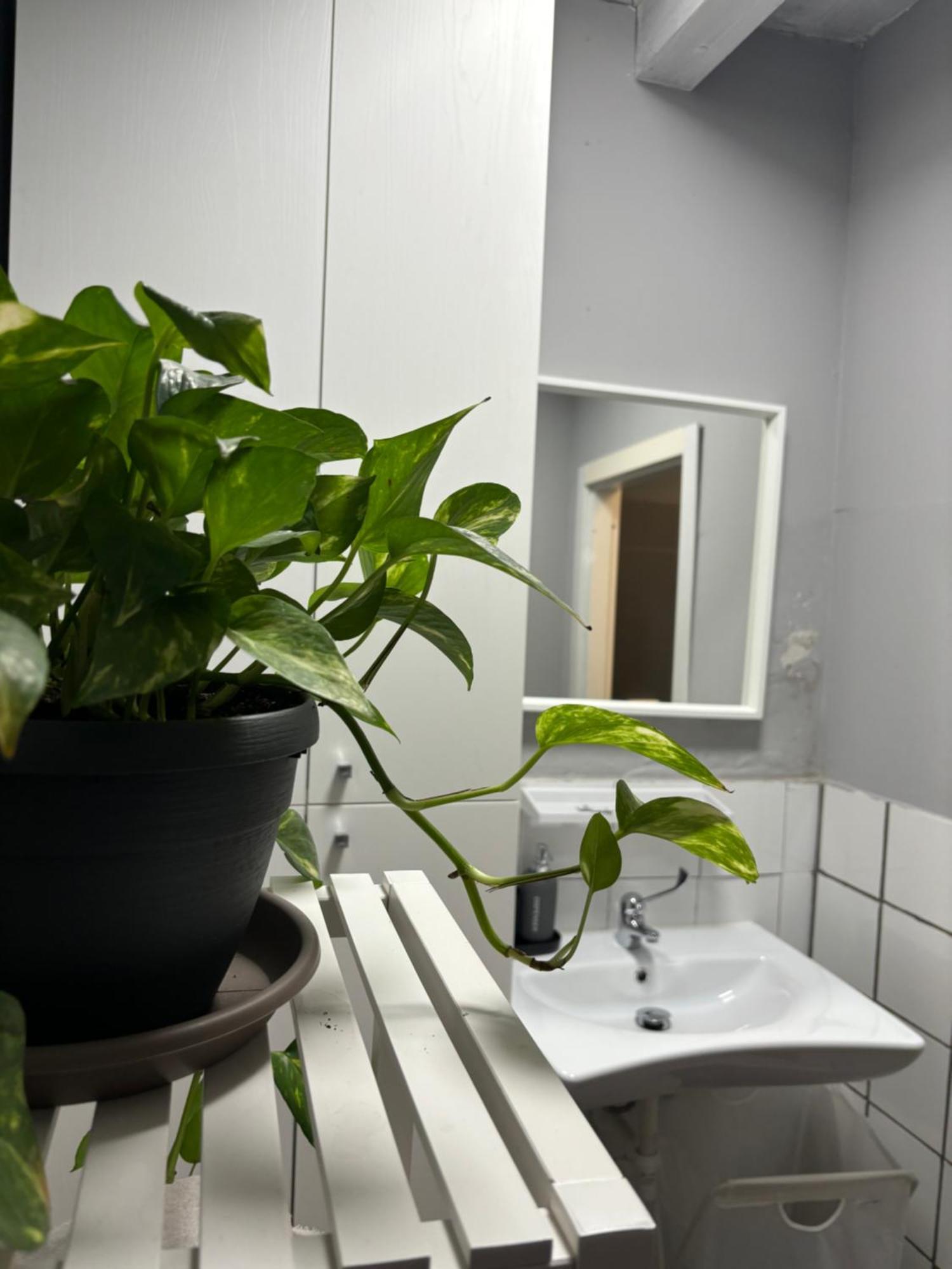 Capitolium Ad Bed & Breakfast Brescia Ngoại thất bức ảnh